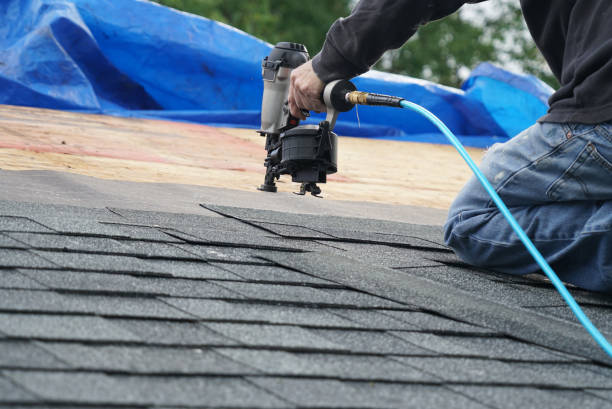 Best Roof Insulation Installation  in San Benito, TX